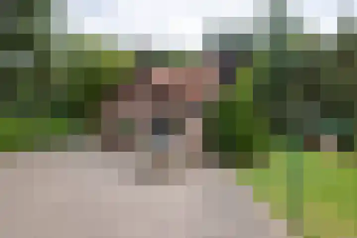 Wolfersveenweg 5 Zelhem thumbnail 18