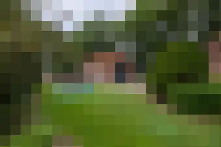 Wolfersveenweg 5 Zelhem thumbnail 21