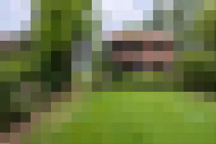 Wolfersveenweg 5 Zelhem thumbnail 22