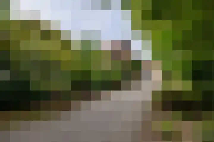 Wolfersveenweg 5 Zelhem thumbnail 47