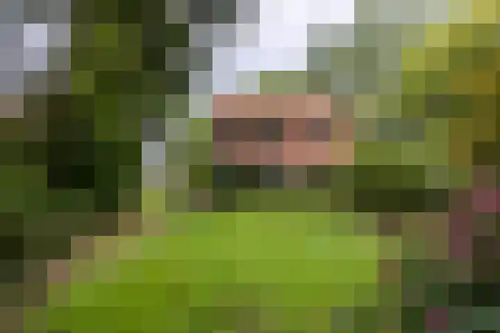 Wolfersveenweg 5 Zelhem thumbnail 58
