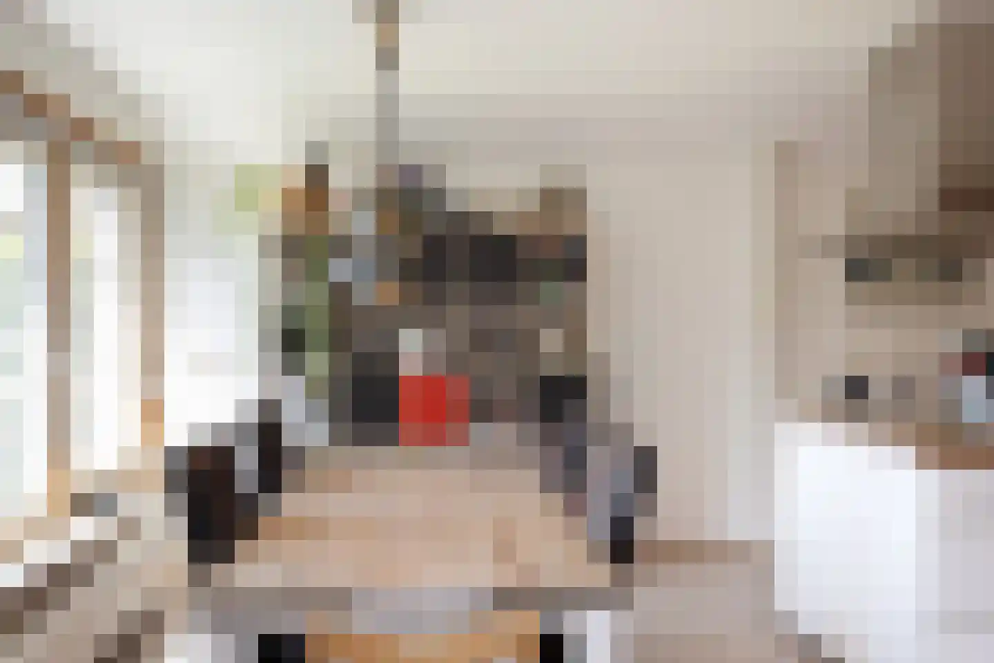 Wolfersweg 10 Neede thumbnail 11