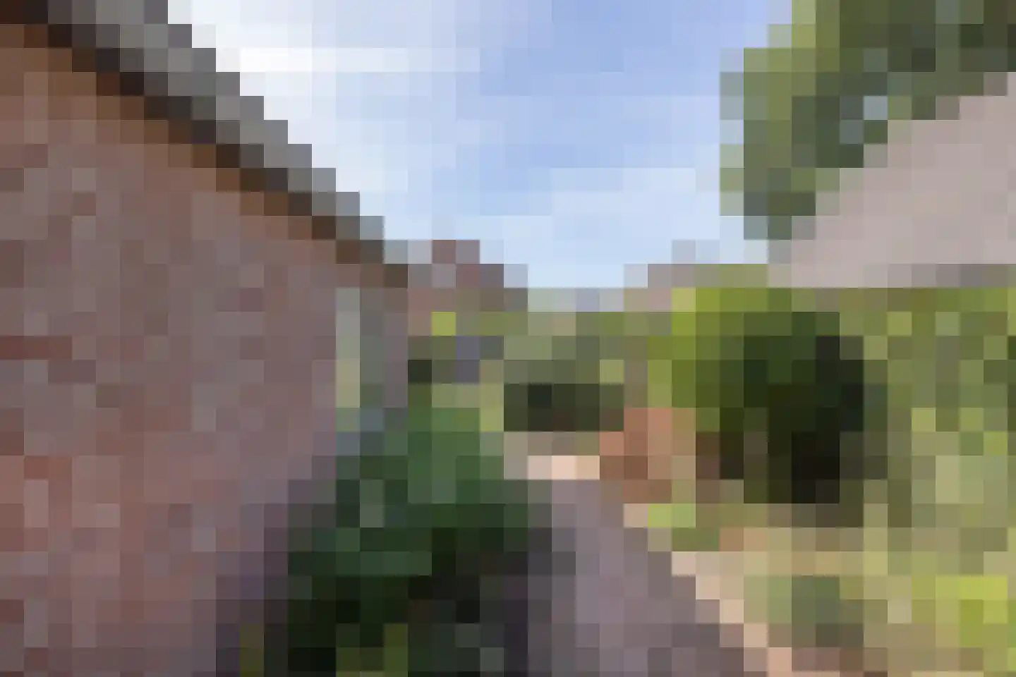 Wolfersweg 10 Neede thumbnail 36