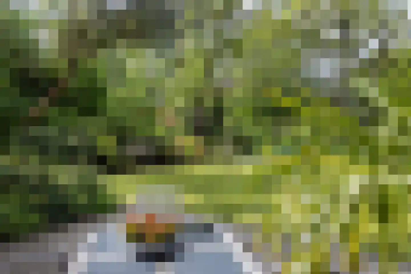 Wolfersweg 6 a Neede thumbnail 10