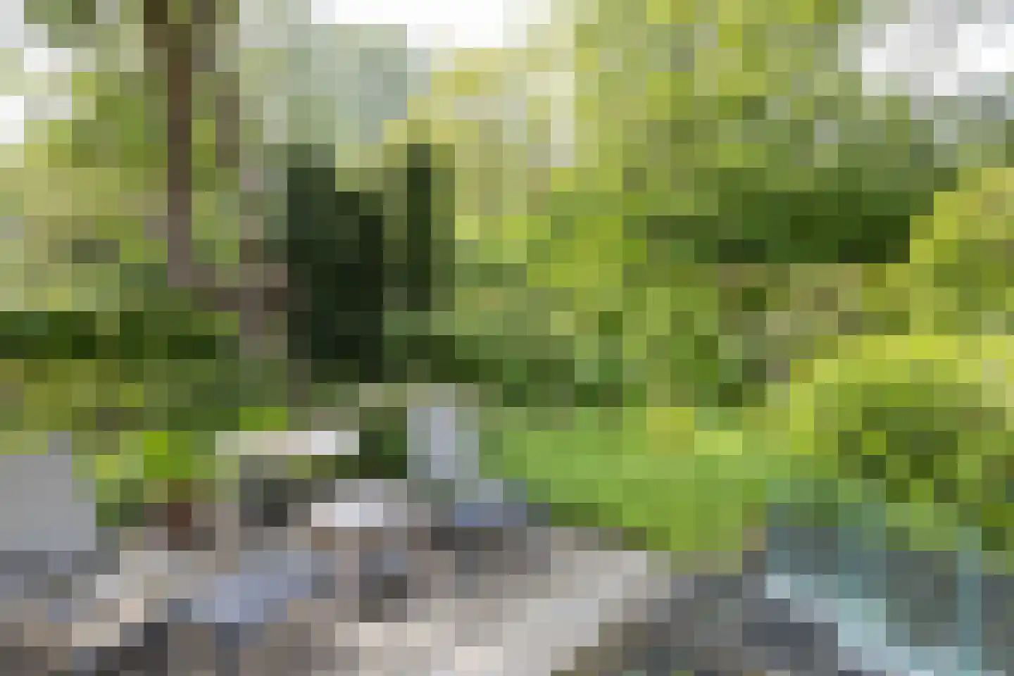 Wolfersweg 6 a Neede thumbnail 11