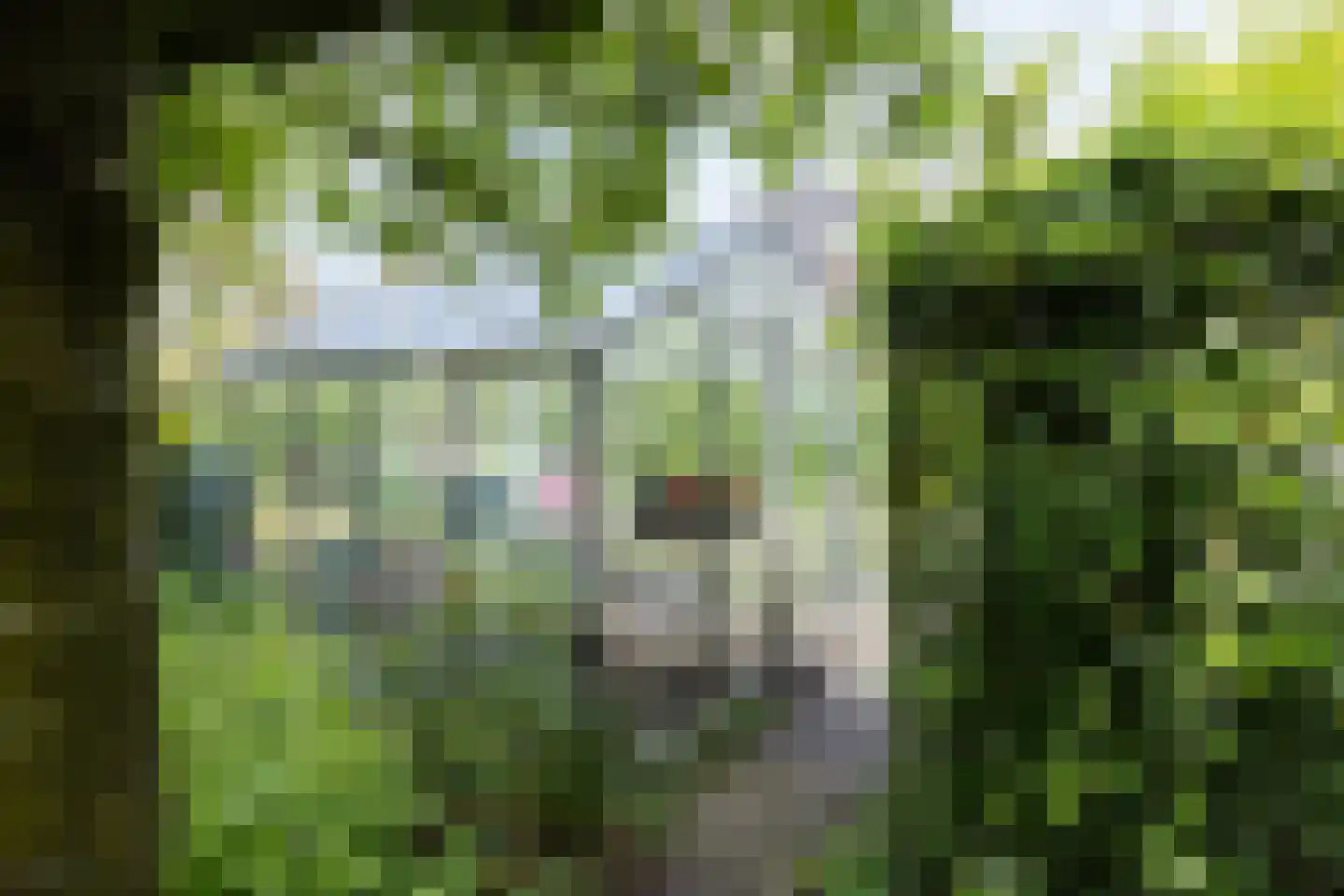 Wolfersweg 6 a Neede thumbnail 12