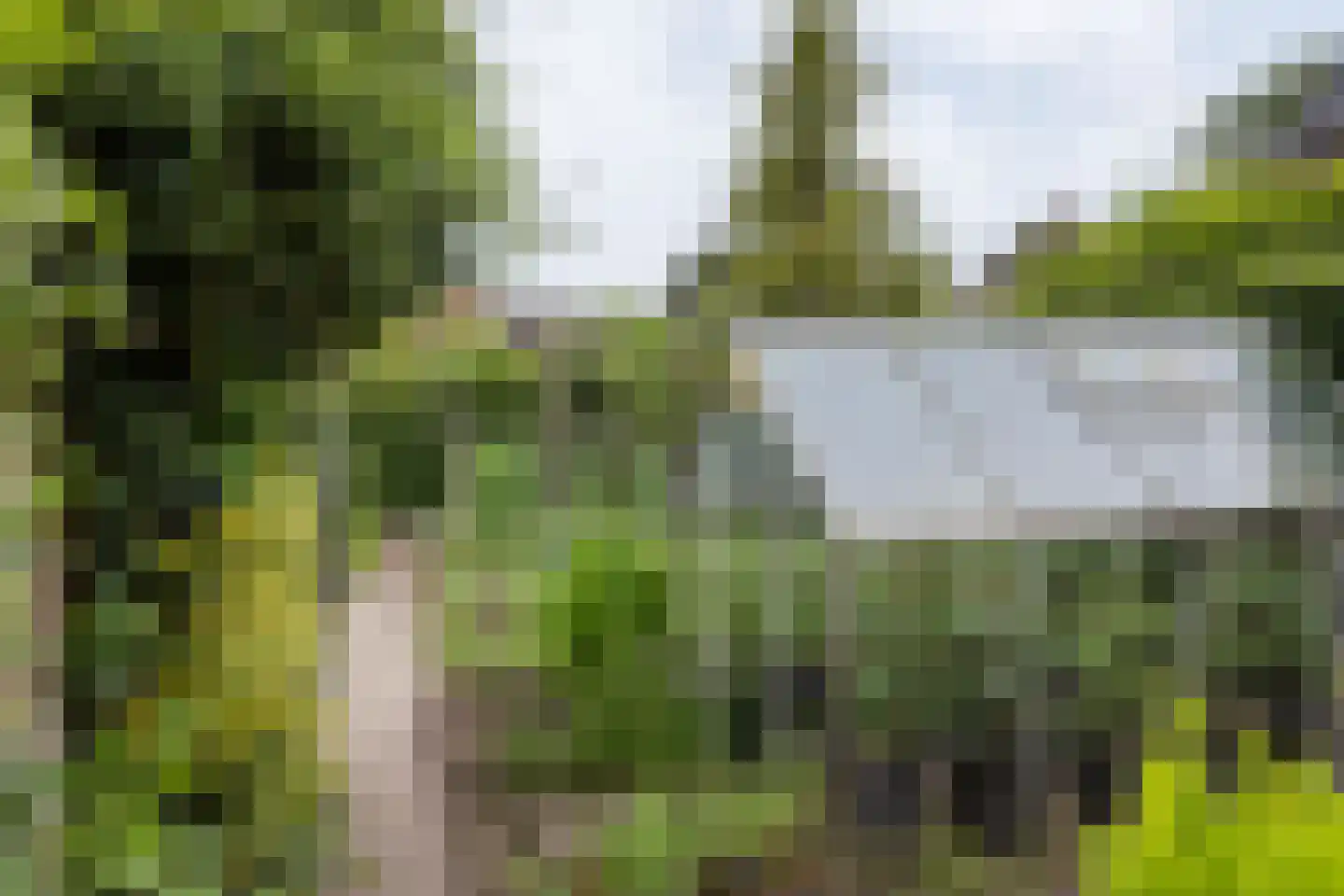 Wolfersweg 6 a Neede thumbnail 14