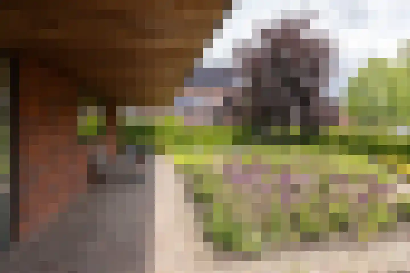 Wolfersweg 6 a Neede thumbnail 49