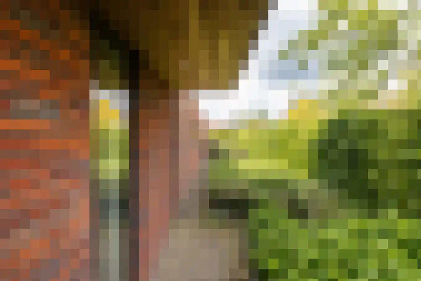 Wolfersweg 6 a Neede thumbnail 51