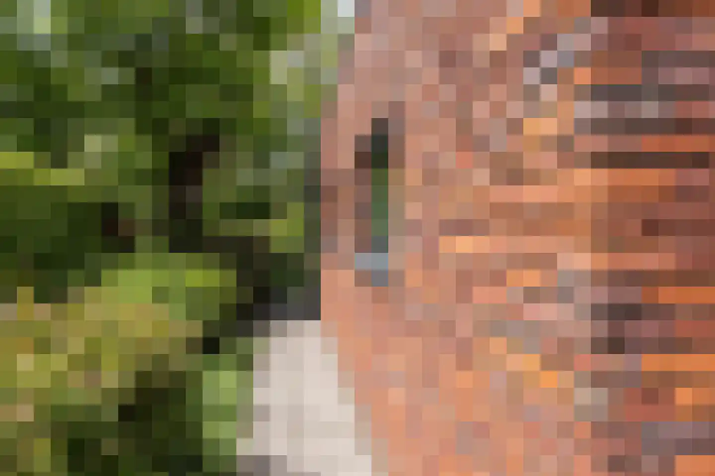 Wolfersweg 6 a Neede thumbnail 53
