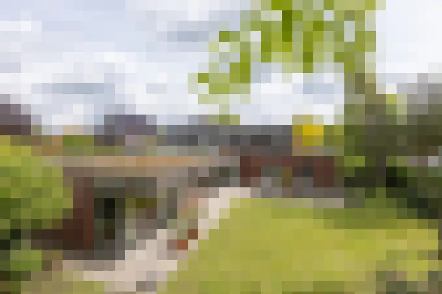 Wolfersweg 6 a Neede thumbnail 55