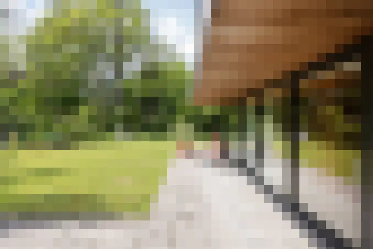 Wolfersweg 6 a Neede thumbnail 6