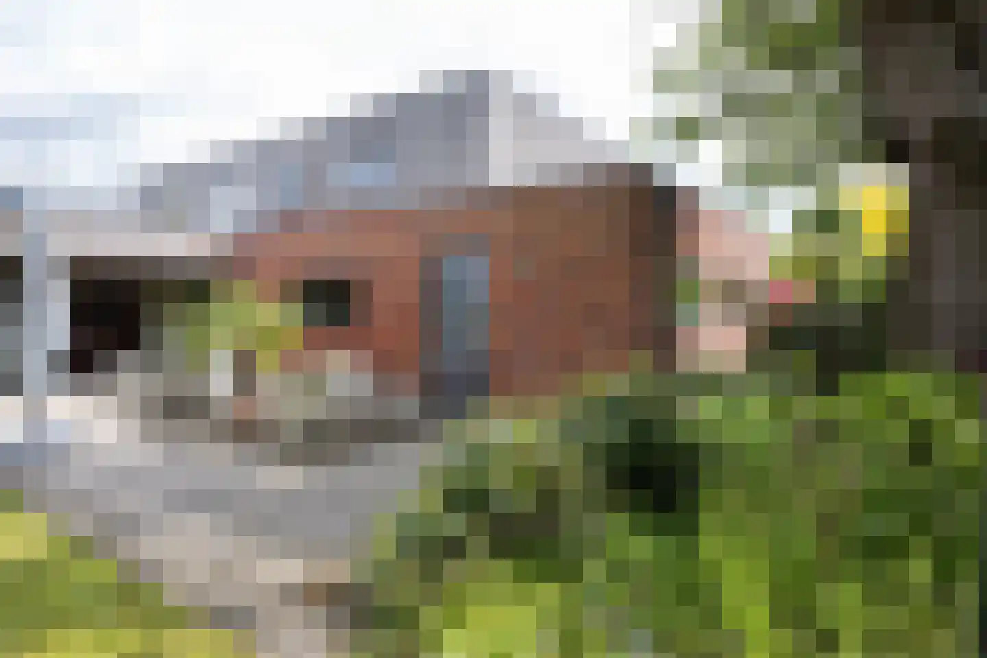 Wolfersweg 6 a Neede thumbnail 9