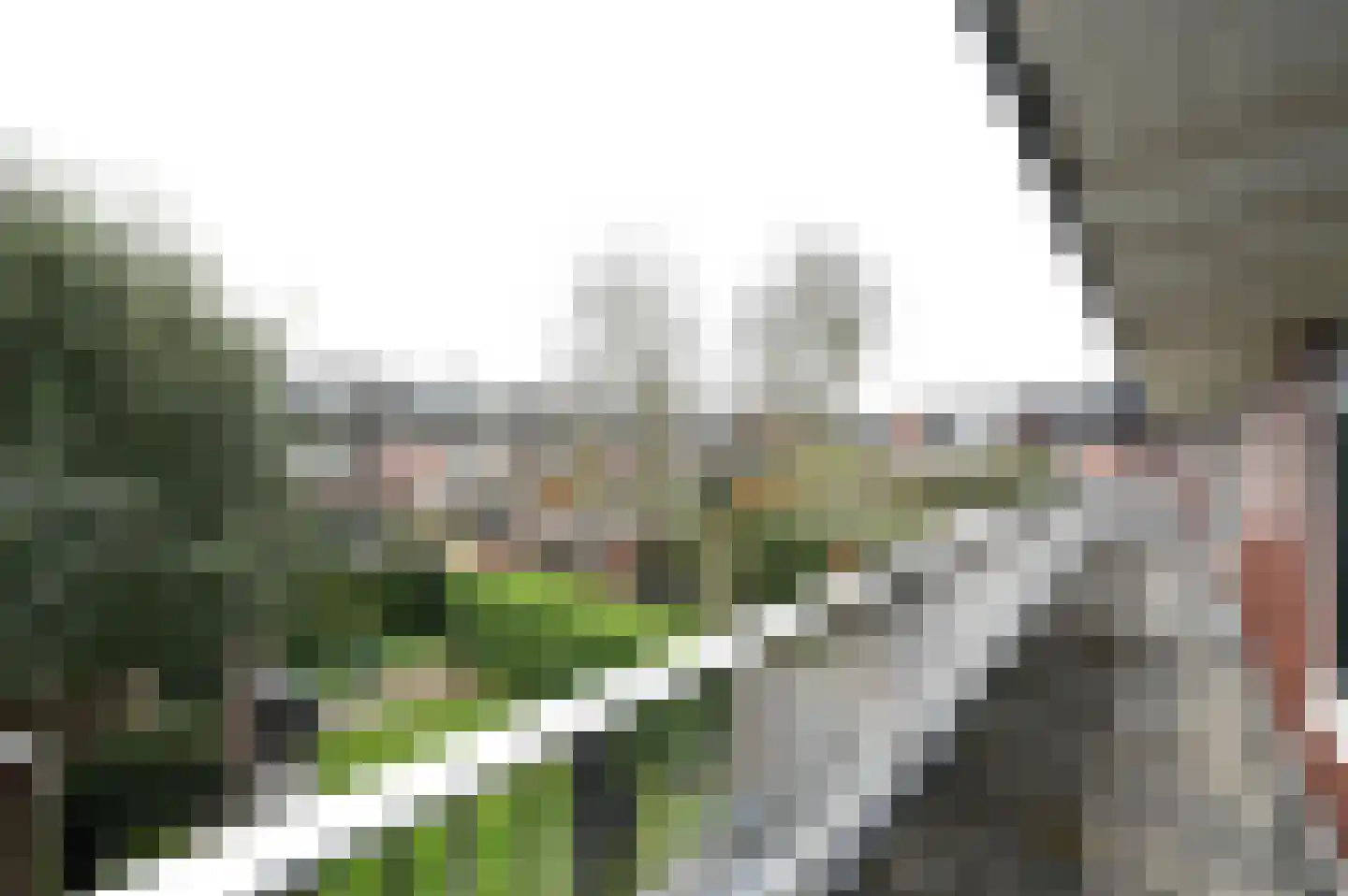 Wolfert van Borsselenweg 112 Amstelveen thumbnail 19