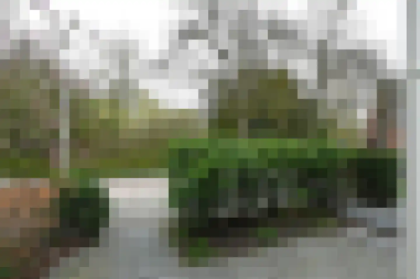 Wolfert van Borsselenweg 112 Amstelveen thumbnail 28