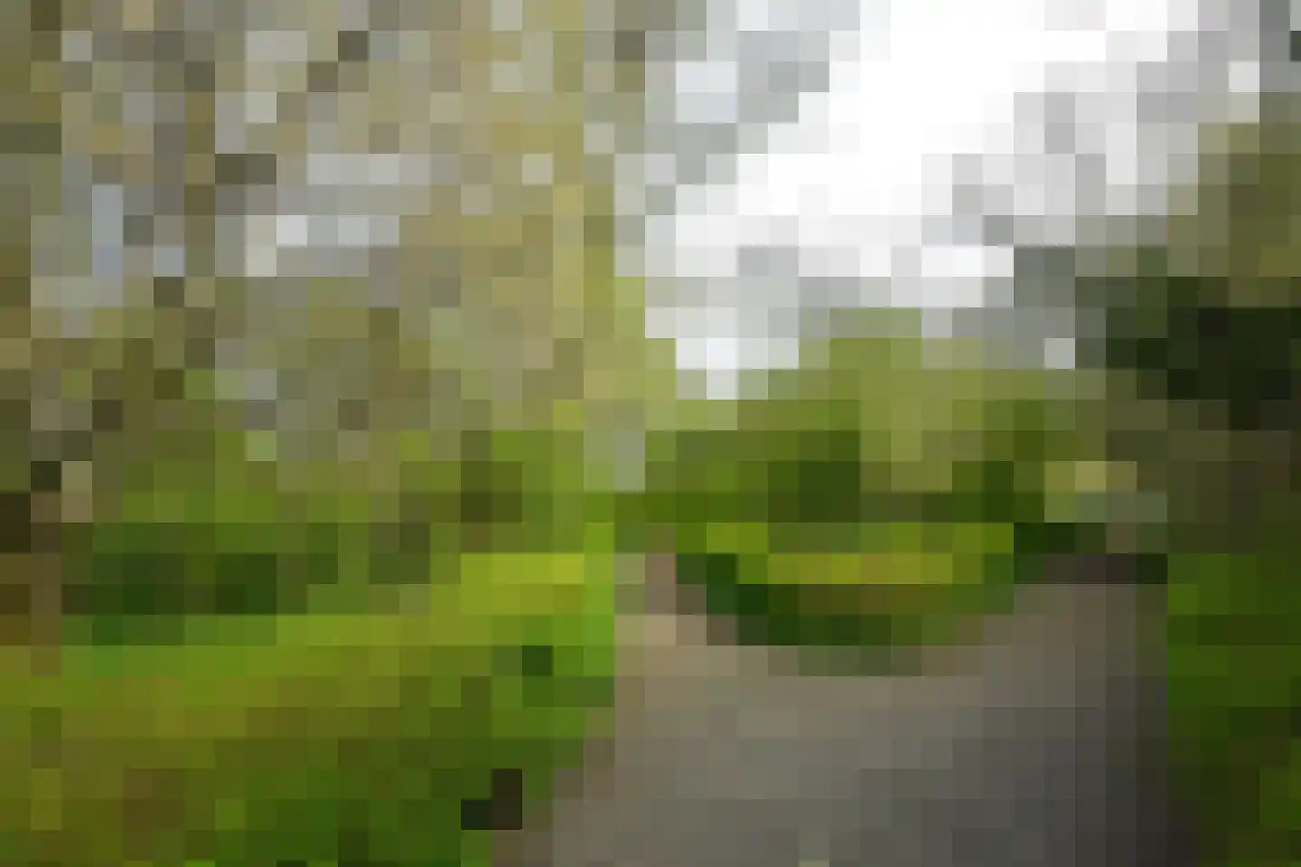 Wolfert van Borsselenweg 112 Amstelveen thumbnail 29