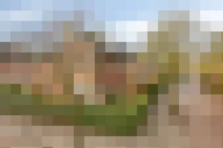 Wolfert van Borsselenweg 115 Amstelveen thumbnail 27