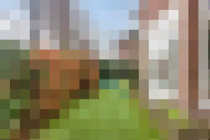 Wolfert van Borsselenweg 115 Amstelveen thumbnail 42