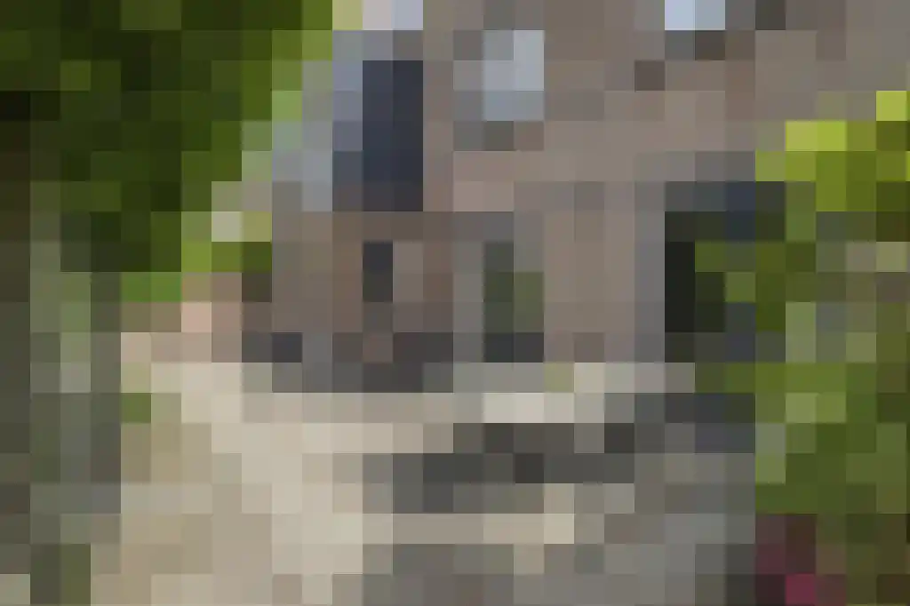 Wolfertlaan 2 Veere thumbnail 43
