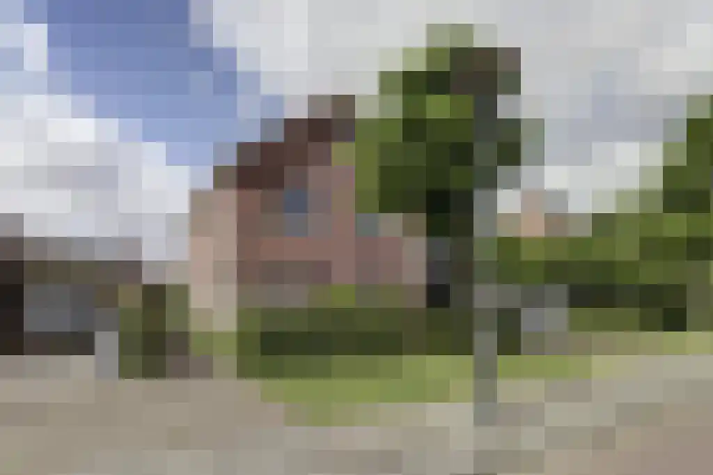Wolfertlaan 2 Veere thumbnail 48