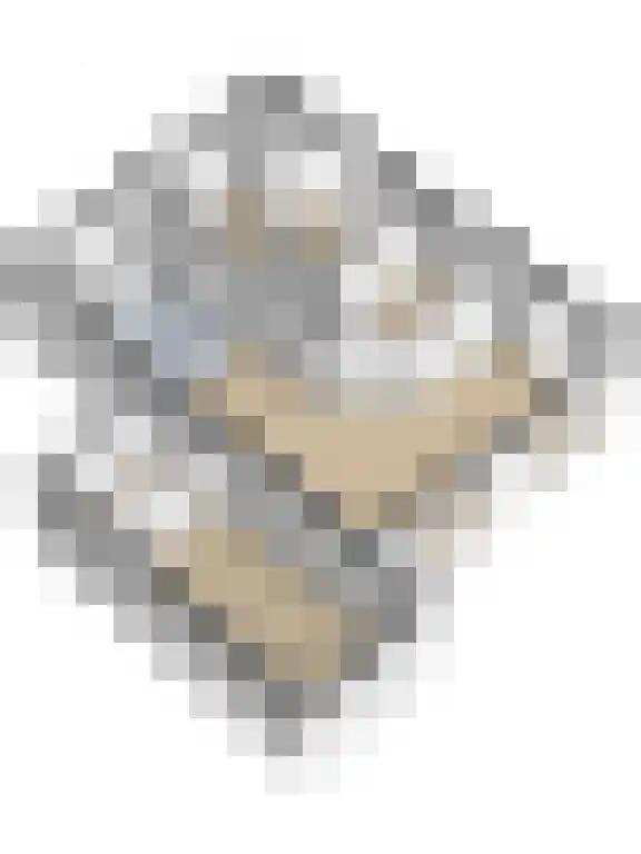 Wolfertlaan 2 Veere thumbnail 51