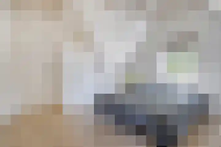 Wolfertsplein 1 Wolphaartsdijk thumbnail 16
