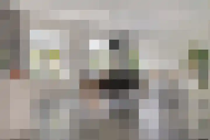 Wolfertsplein 1 Wolphaartsdijk thumbnail 7