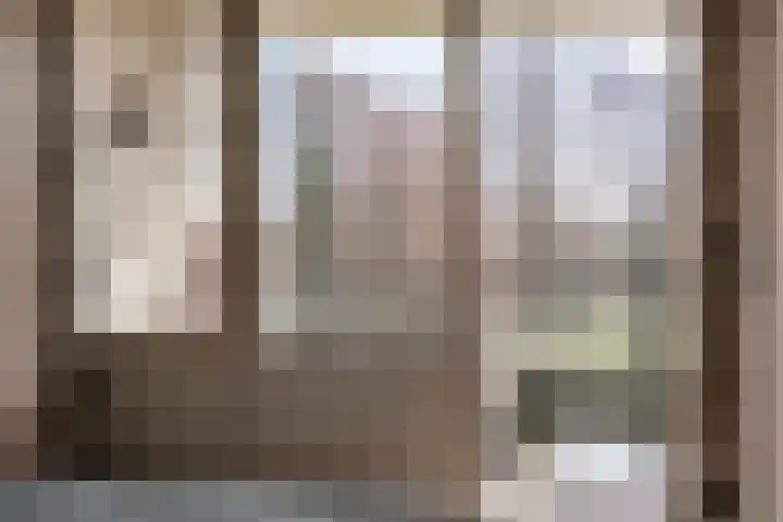 Wolff en Dekenlaan 106 Driehuis NH thumbnail 11