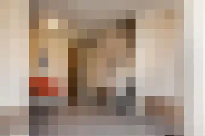 Wolff en Dekenlaan 106 Driehuis NH thumbnail 19