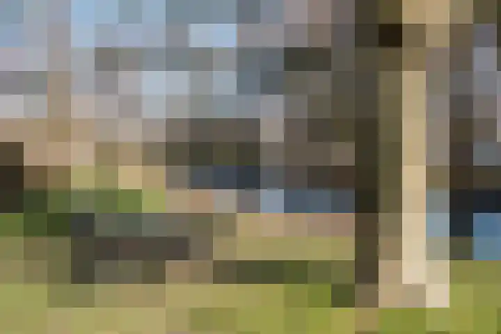 Wolff en Dekenlaan 106 Driehuis NH thumbnail 23