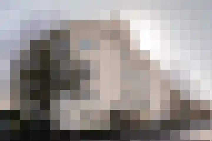 Wolff en Dekenlaan 106 Driehuis NH thumbnail 26