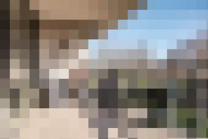 Wolff en Dekenlaan 106 Driehuis NH thumbnail 4