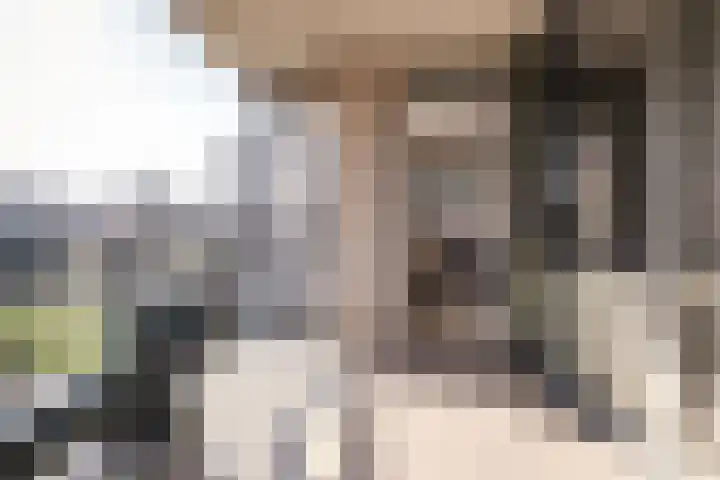 Wolff en Dekenlaan 106 Driehuis NH thumbnail 5