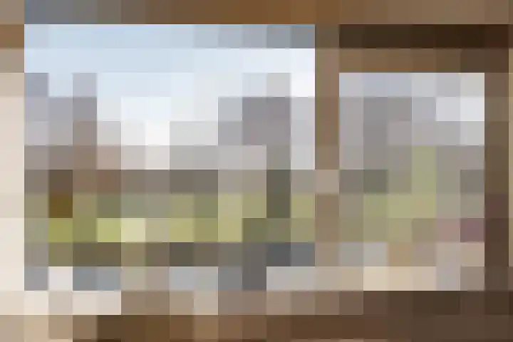 Wolff en Dekenlaan 106 Driehuis NH thumbnail 6