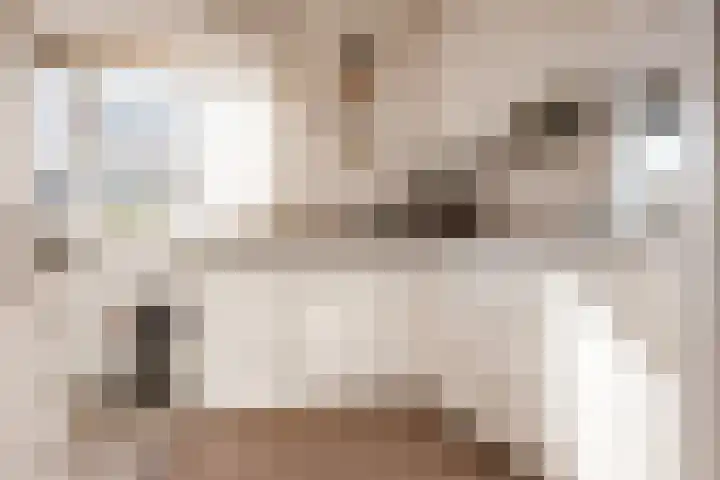 Wolff en Dekenlaan 106 Driehuis NH thumbnail 9