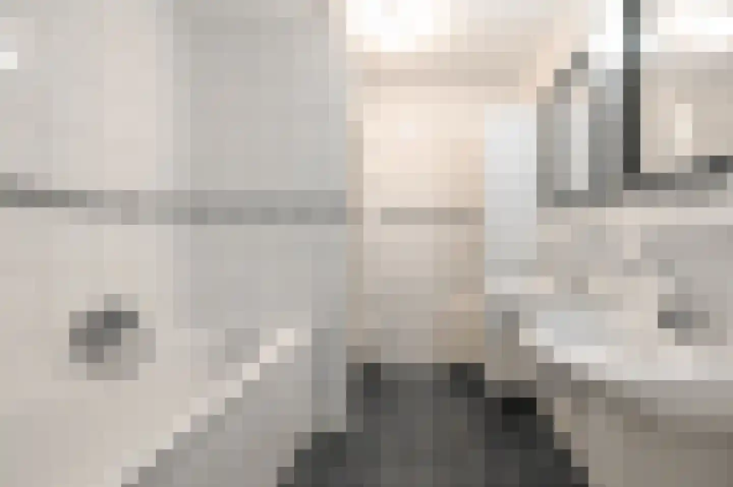 Wolff en Dekenlaan 108 Driehuis NH thumbnail 15