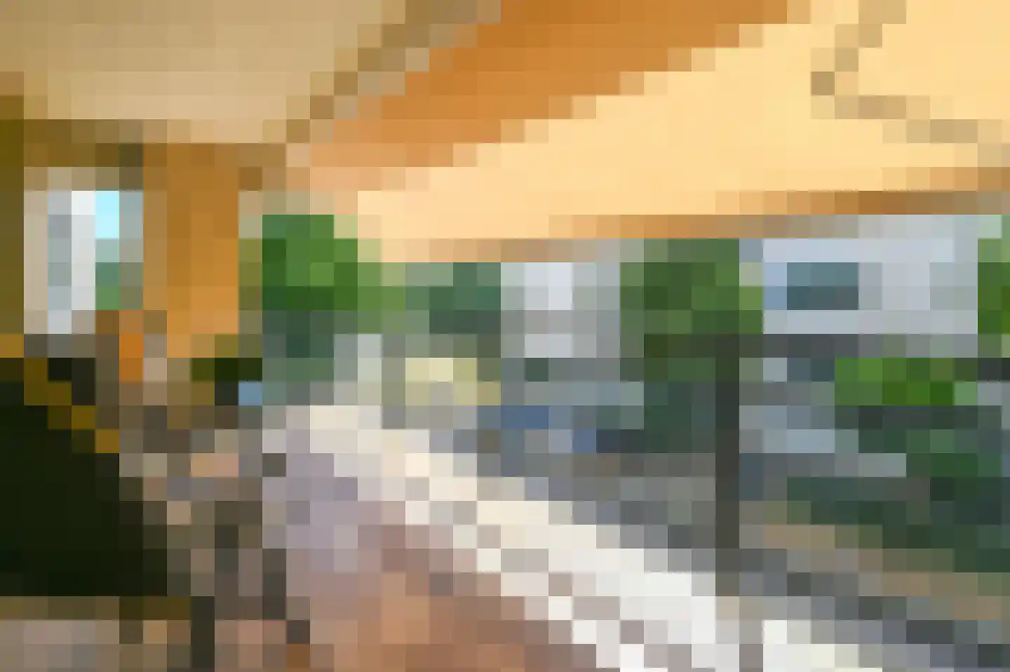 Wolff en Dekenlaan 108 Driehuis NH thumbnail 19