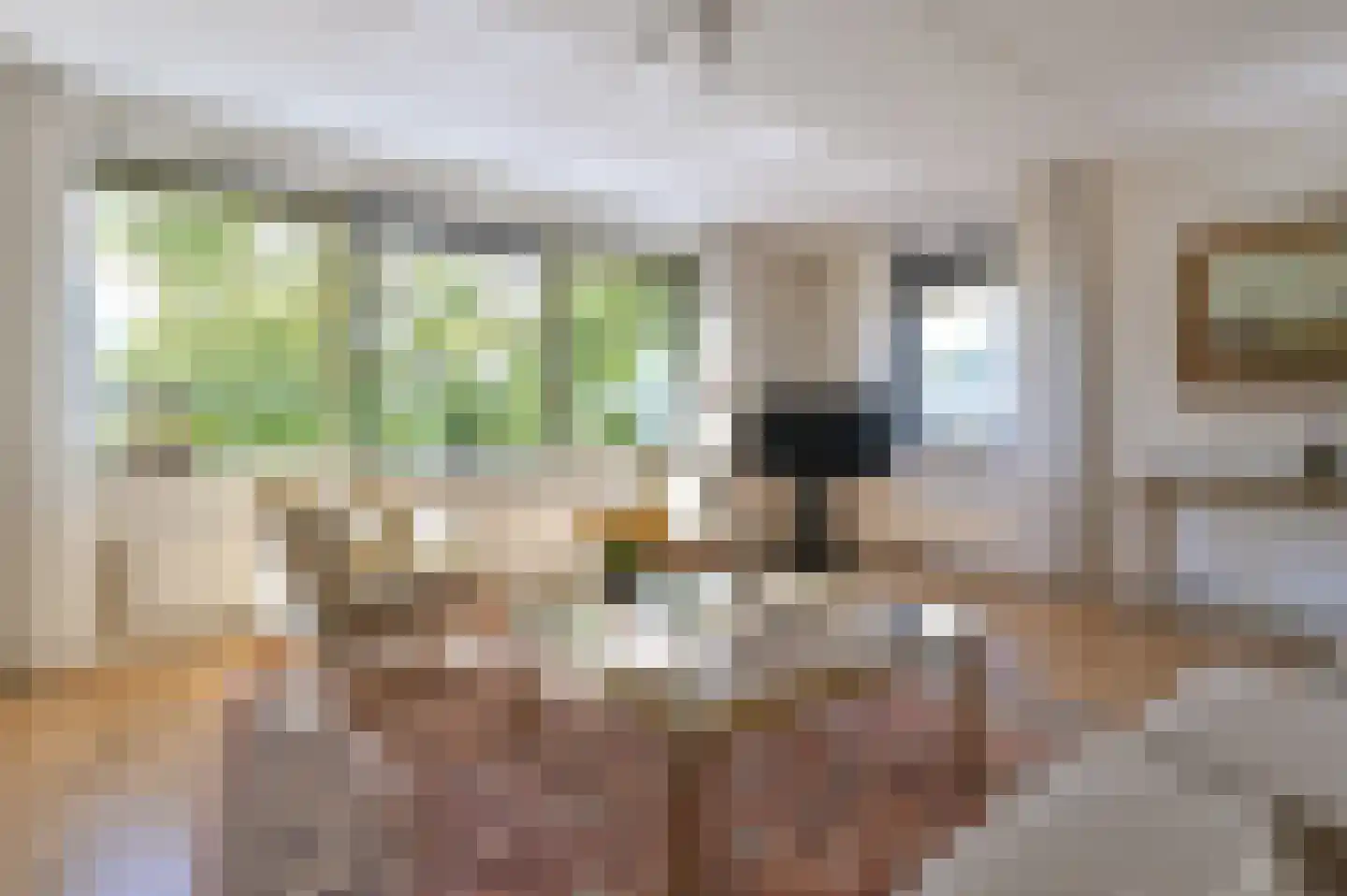 Wolff en Dekenlaan 108 Driehuis NH thumbnail 7