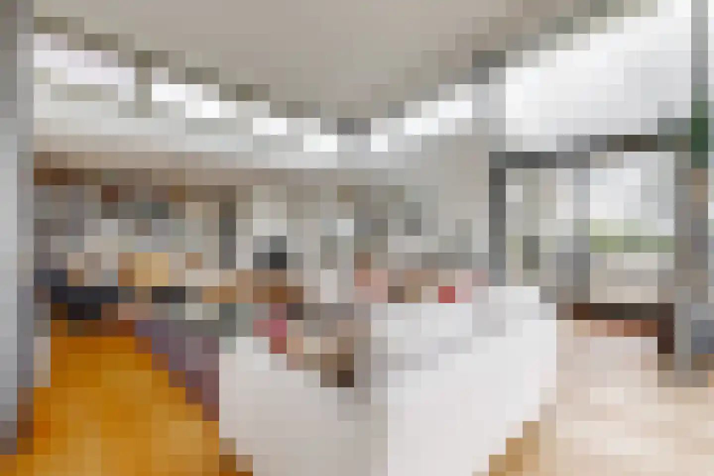 Wolff en Dekenlaan 118 Driehuis NH thumbnail 11