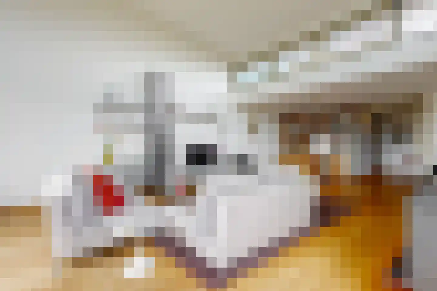 Wolff en Dekenlaan 118 Driehuis NH thumbnail 13