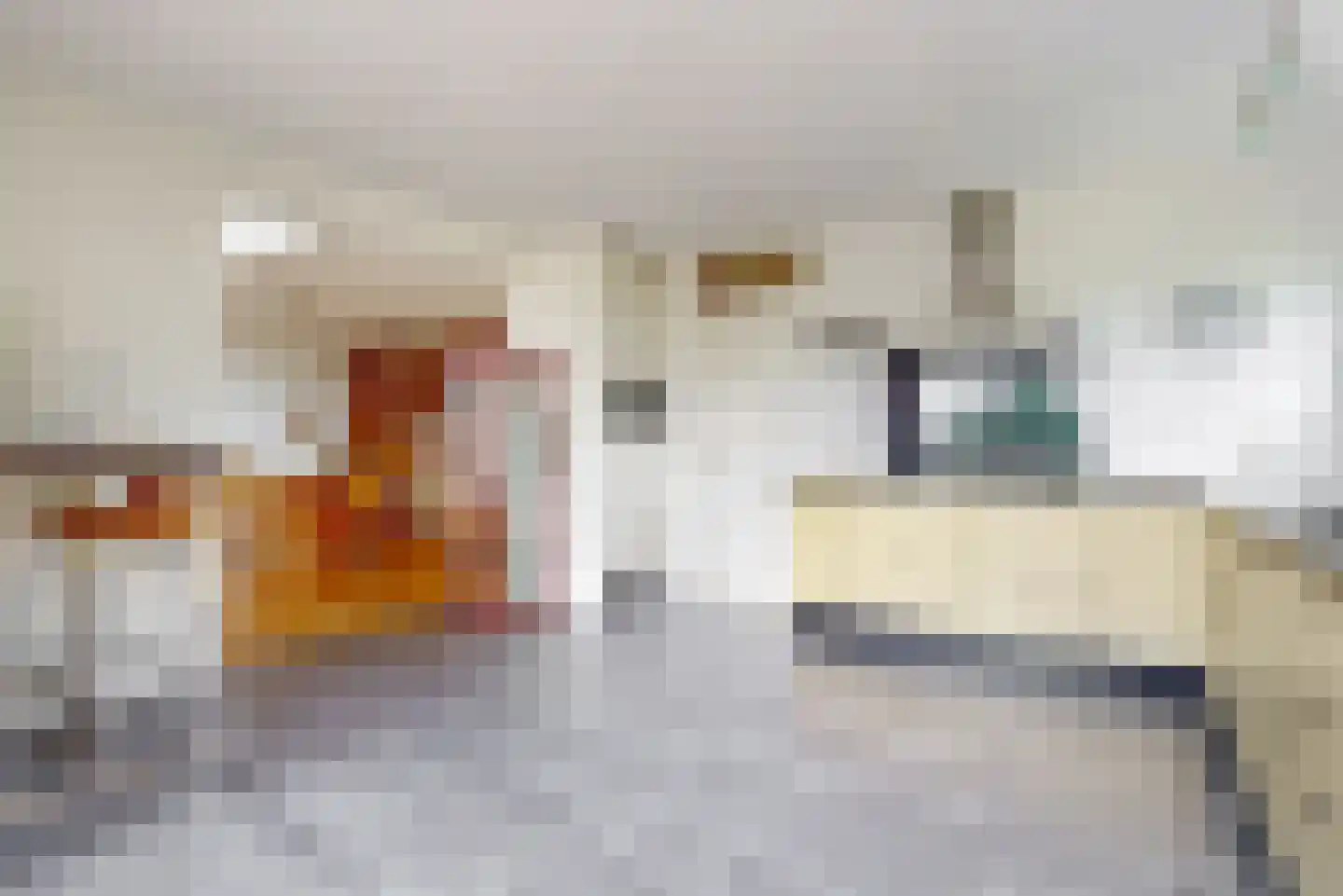 Wolff en Dekenlaan 118 Driehuis NH thumbnail 16