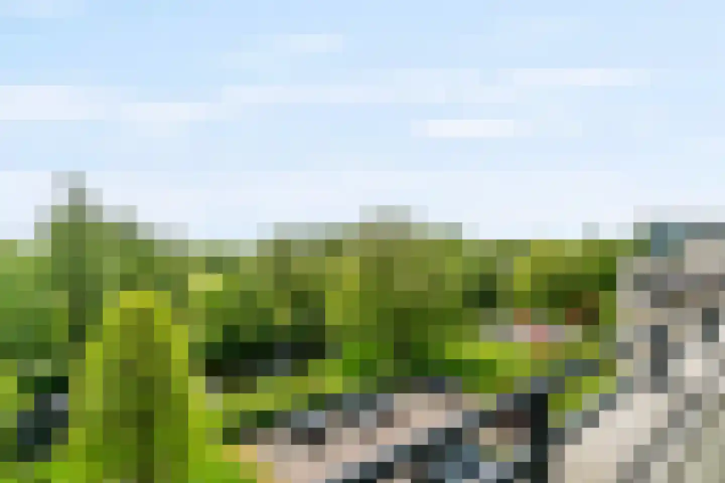 Wolff en Dekenlaan 118 Driehuis NH thumbnail 26