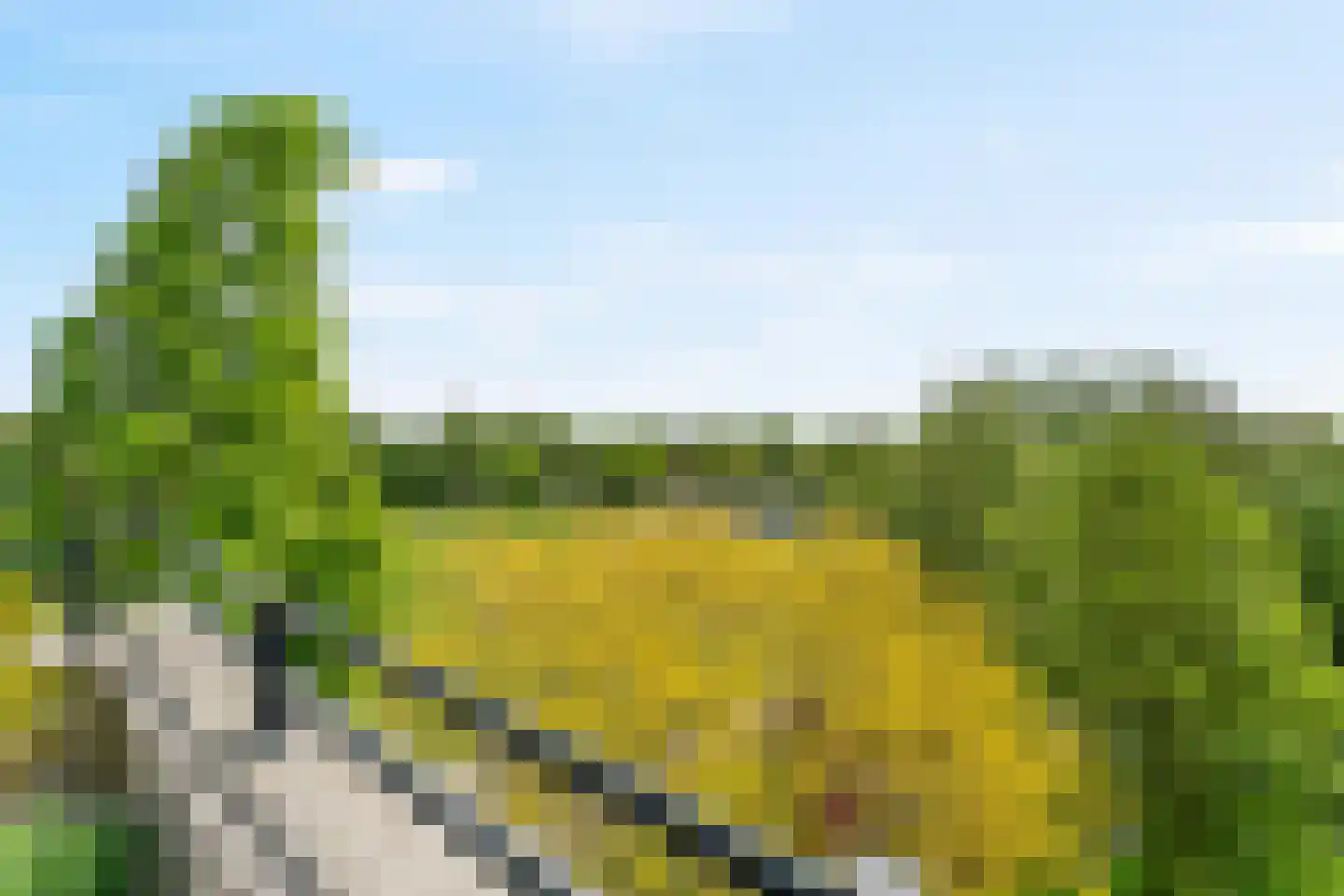 Wolff en Dekenlaan 118 Driehuis NH thumbnail 27