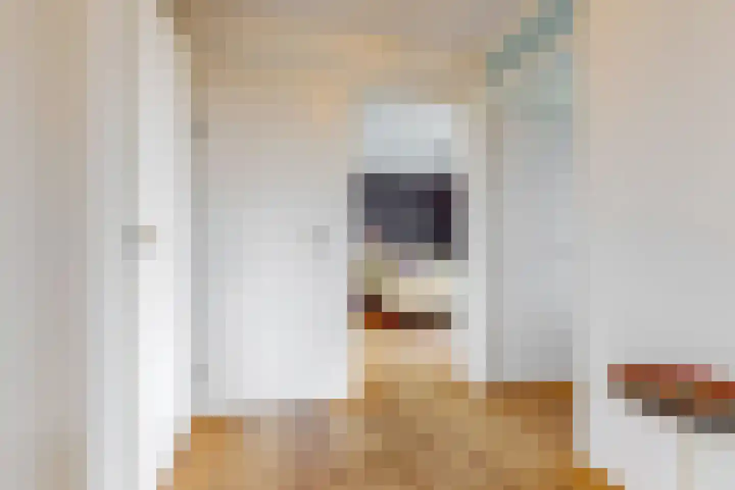 Wolff en Dekenlaan 118 Driehuis NH thumbnail 28