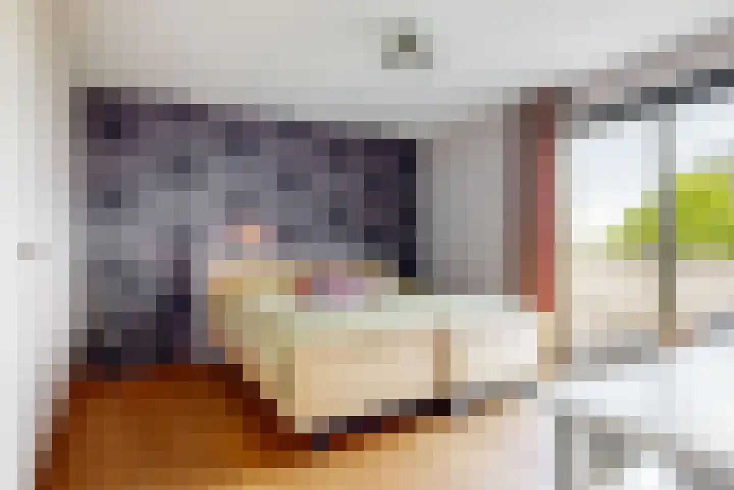 Wolff en Dekenlaan 118 Driehuis NH thumbnail 29