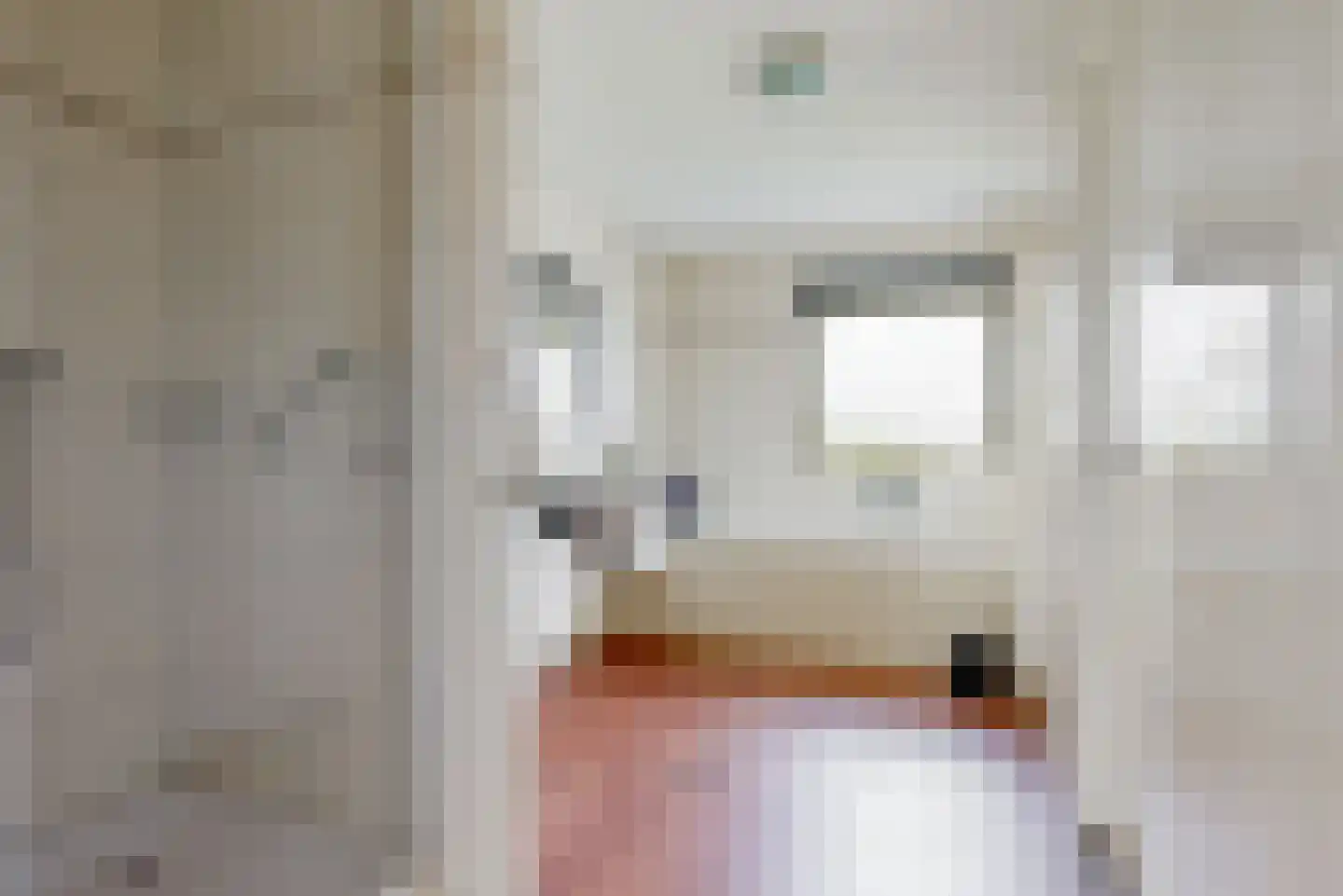 Wolff en Dekenlaan 118 Driehuis NH thumbnail 38