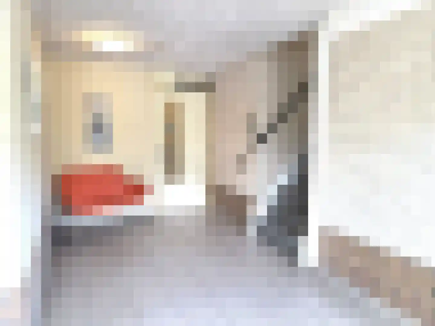 Wolff en Dekenlaan 118 Driehuis NH thumbnail 43