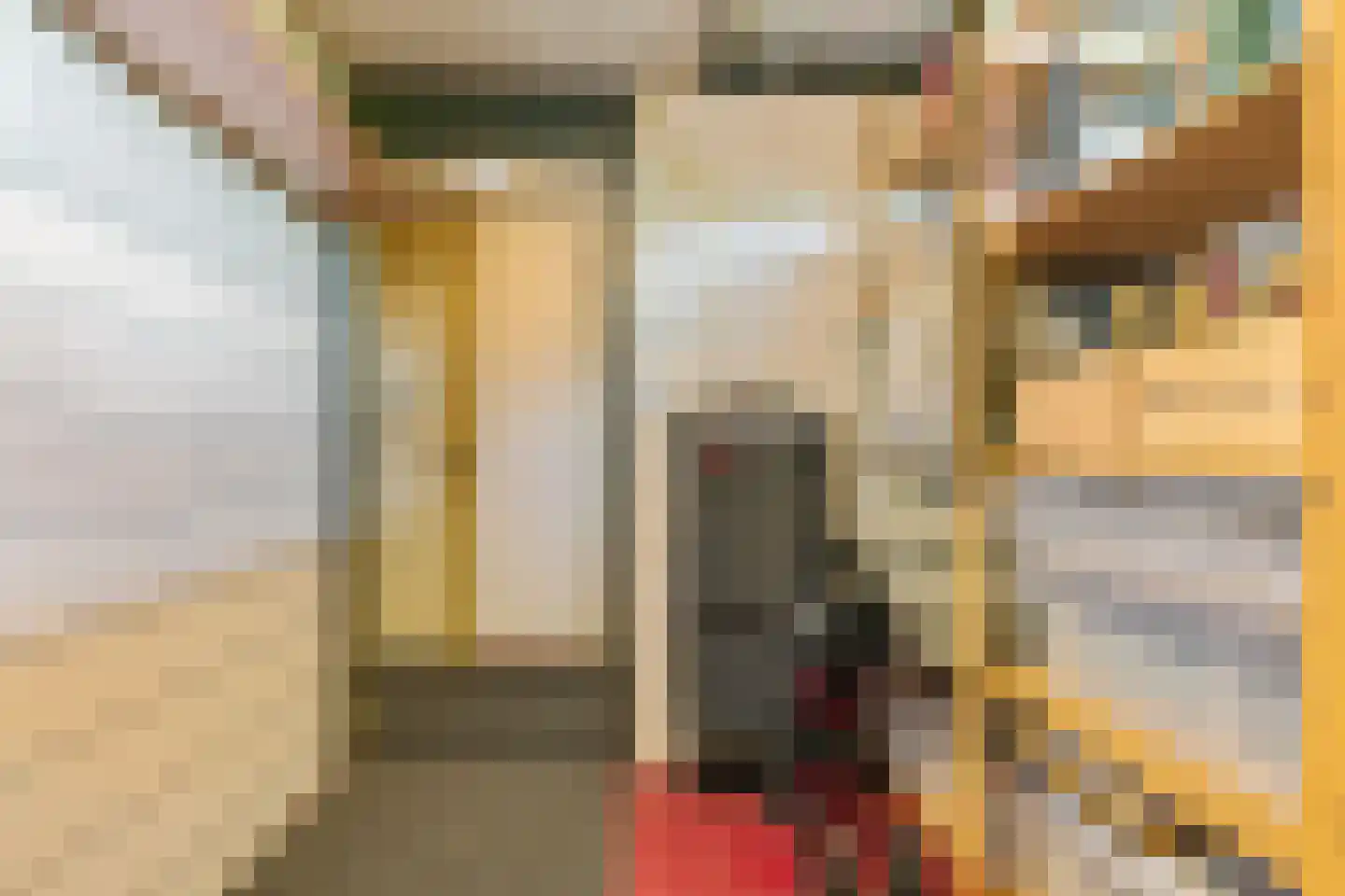 Wolff en Dekenlaan 118 Driehuis NH thumbnail 46