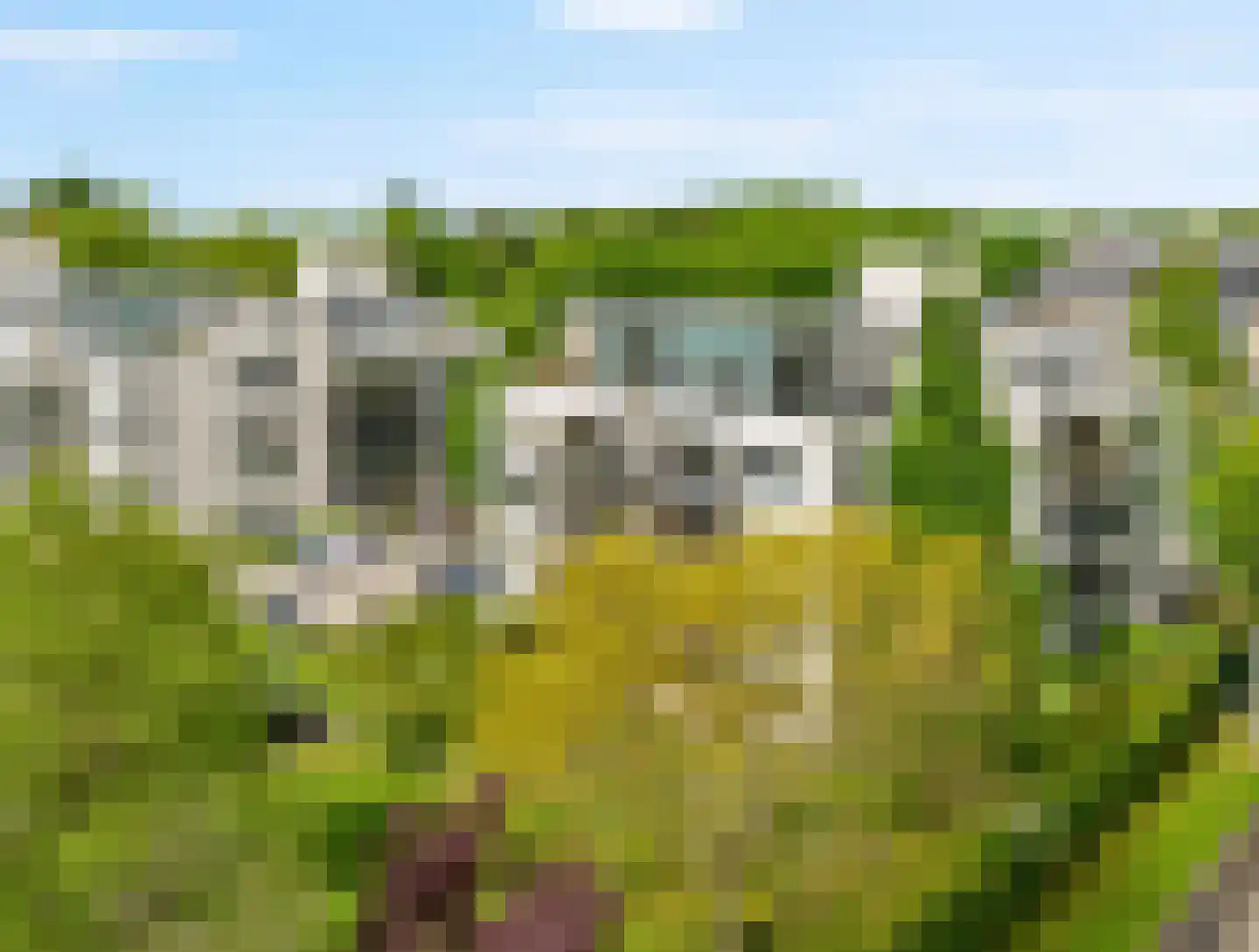 Wolff en Dekenlaan 118 Driehuis NH thumbnail 50