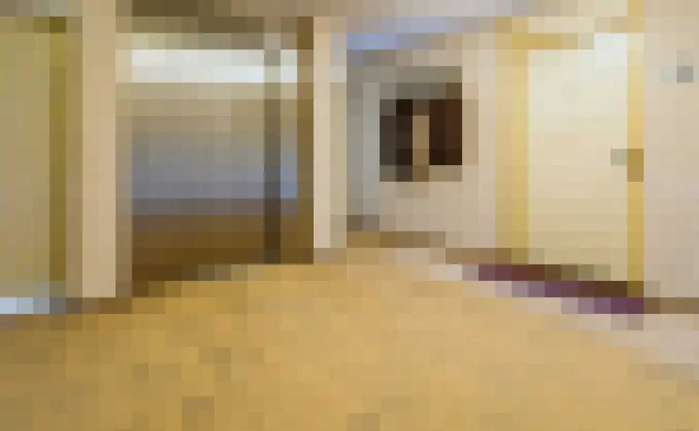 Wolff en Dekenlaan 118 Driehuis NH thumbnail 7